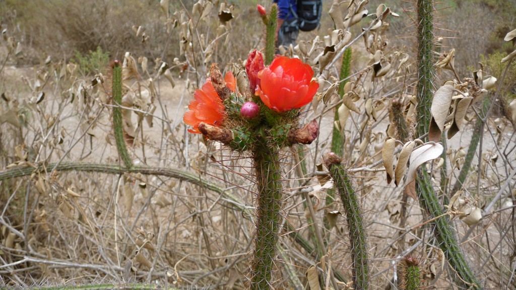 P1240123