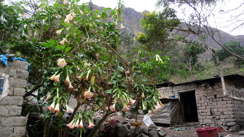 P1240128