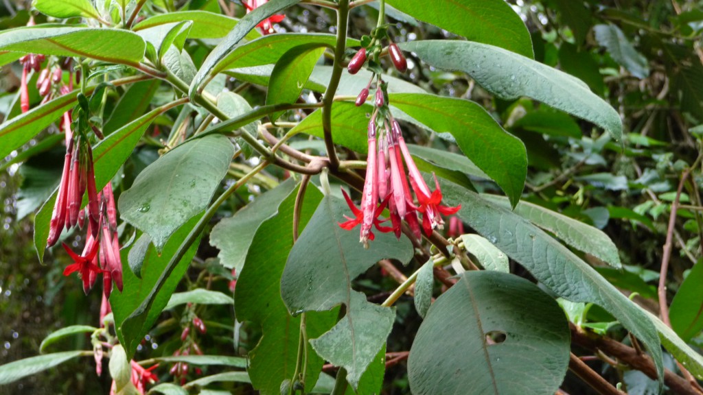 P1240169