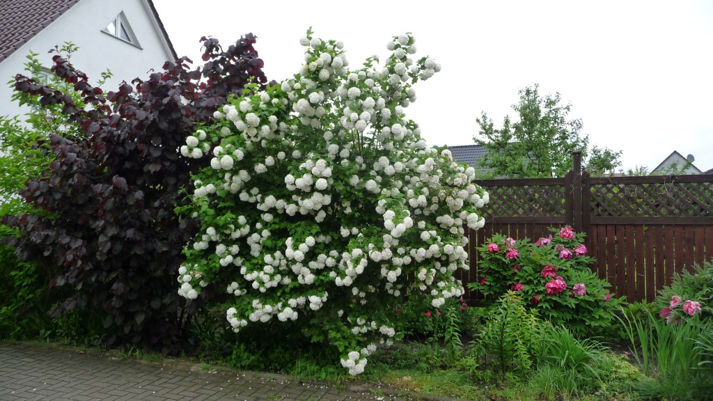 P1260645
