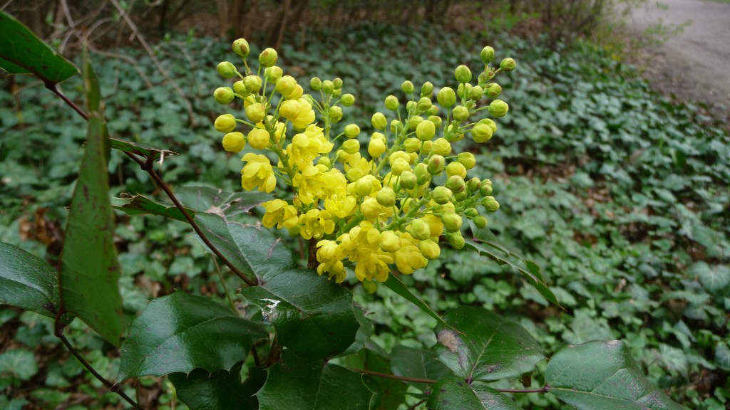 P1290260