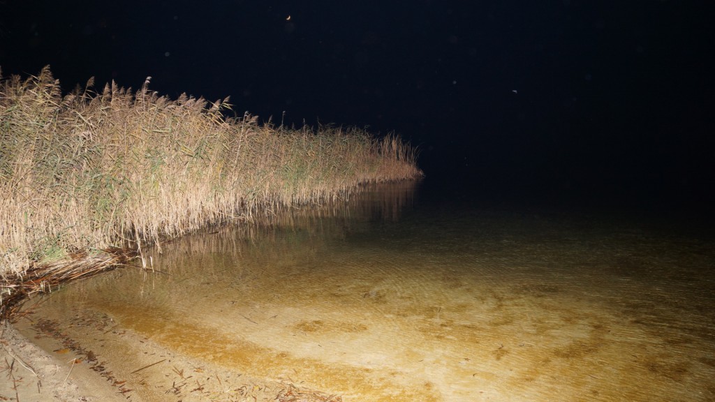 141127_Abbaden_DSC04885_1920