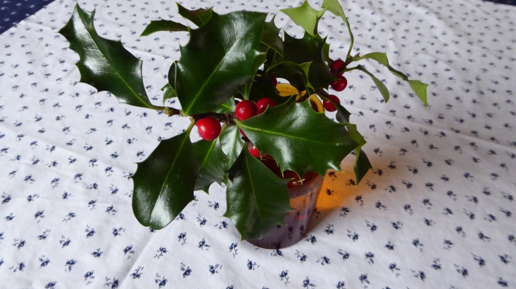 bearb_p1050617_ilex
