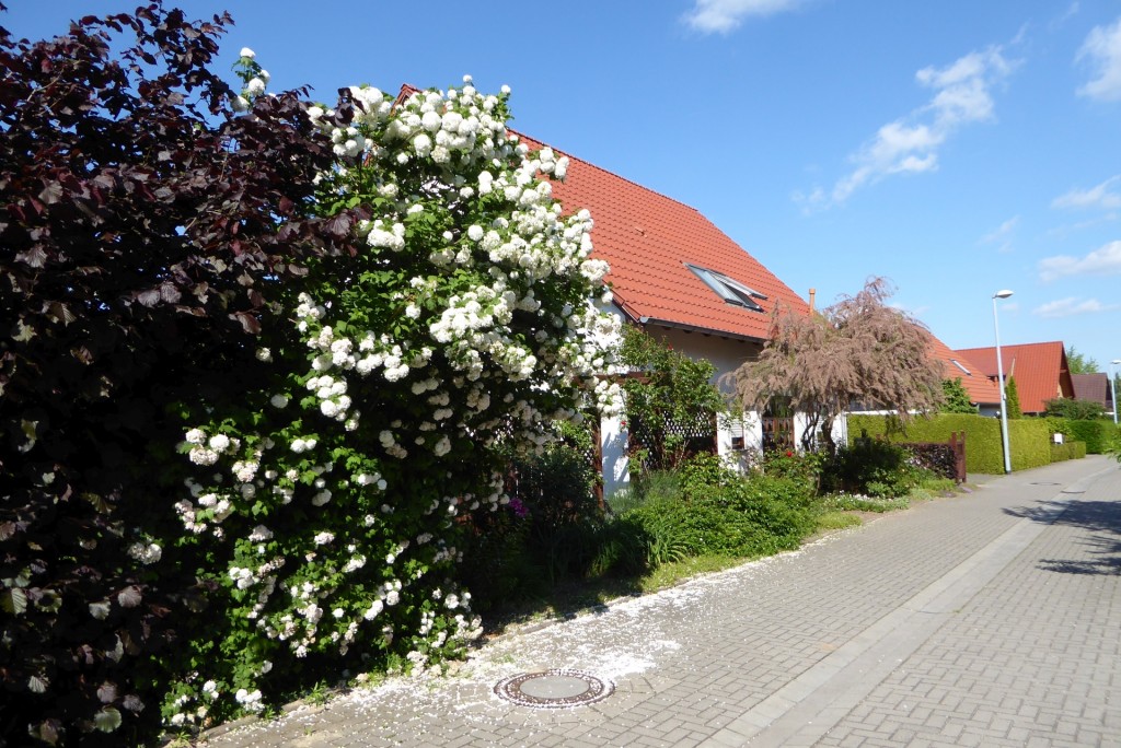 P1070788_1920